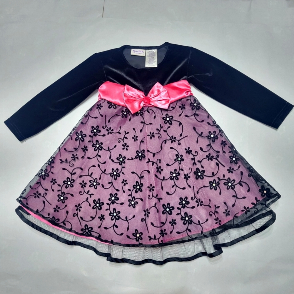 Blueberi Boulevard Infants 24M Girls Long Sleeve Dress